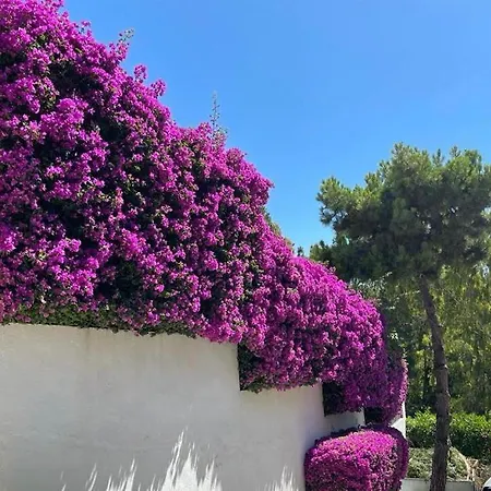 Penthouse By The Sea, * Marbella